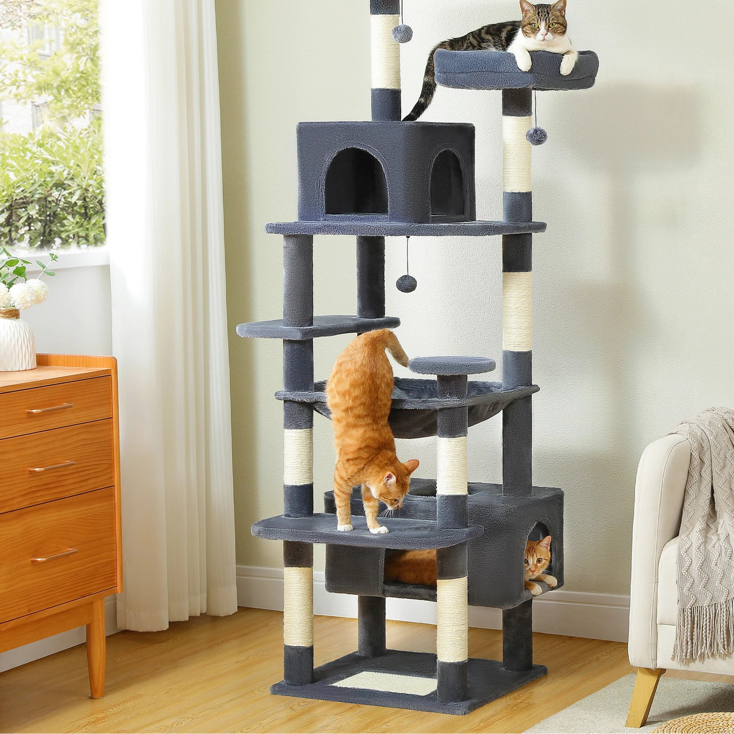 Cat Penthouse apartment