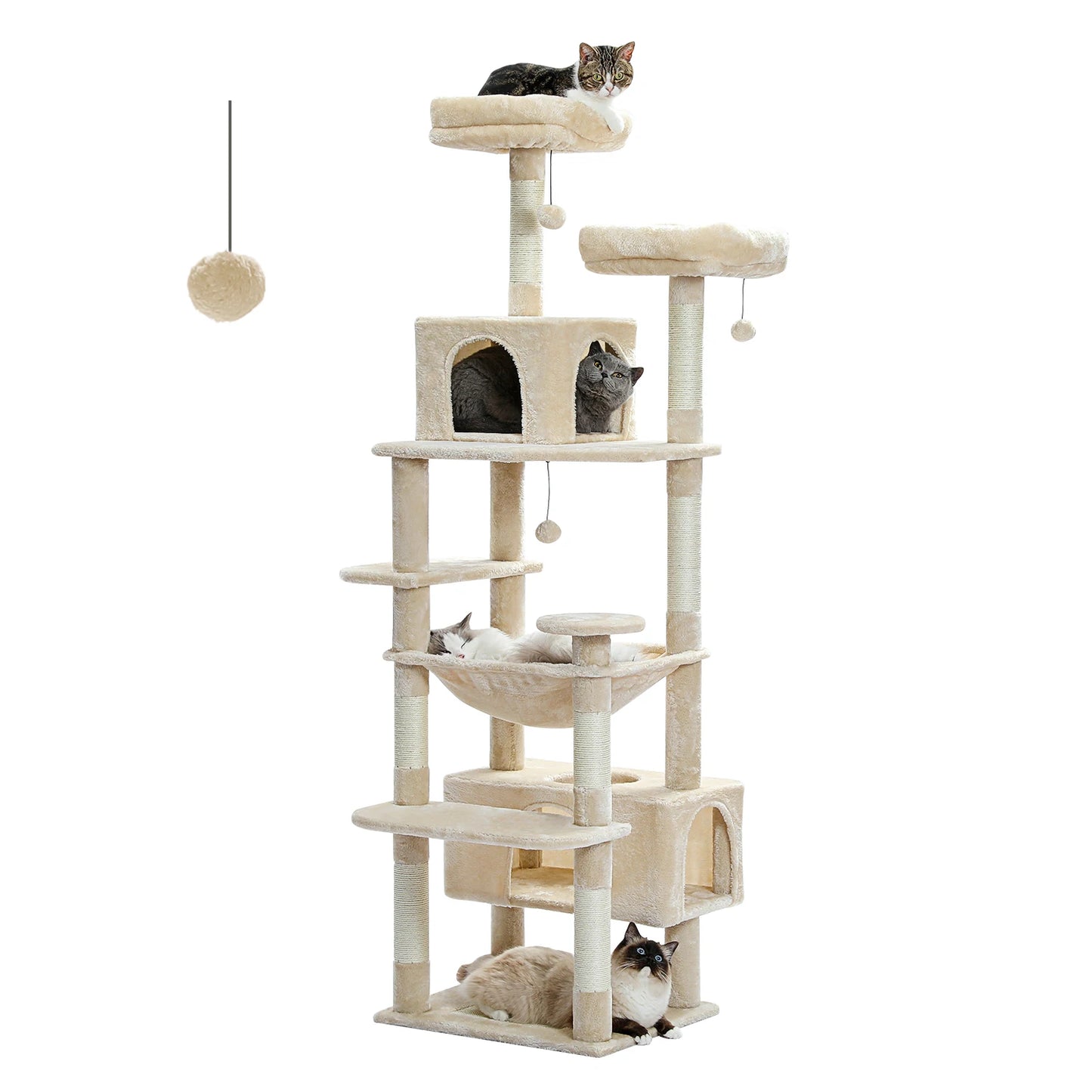 Cat Penthouse apartment