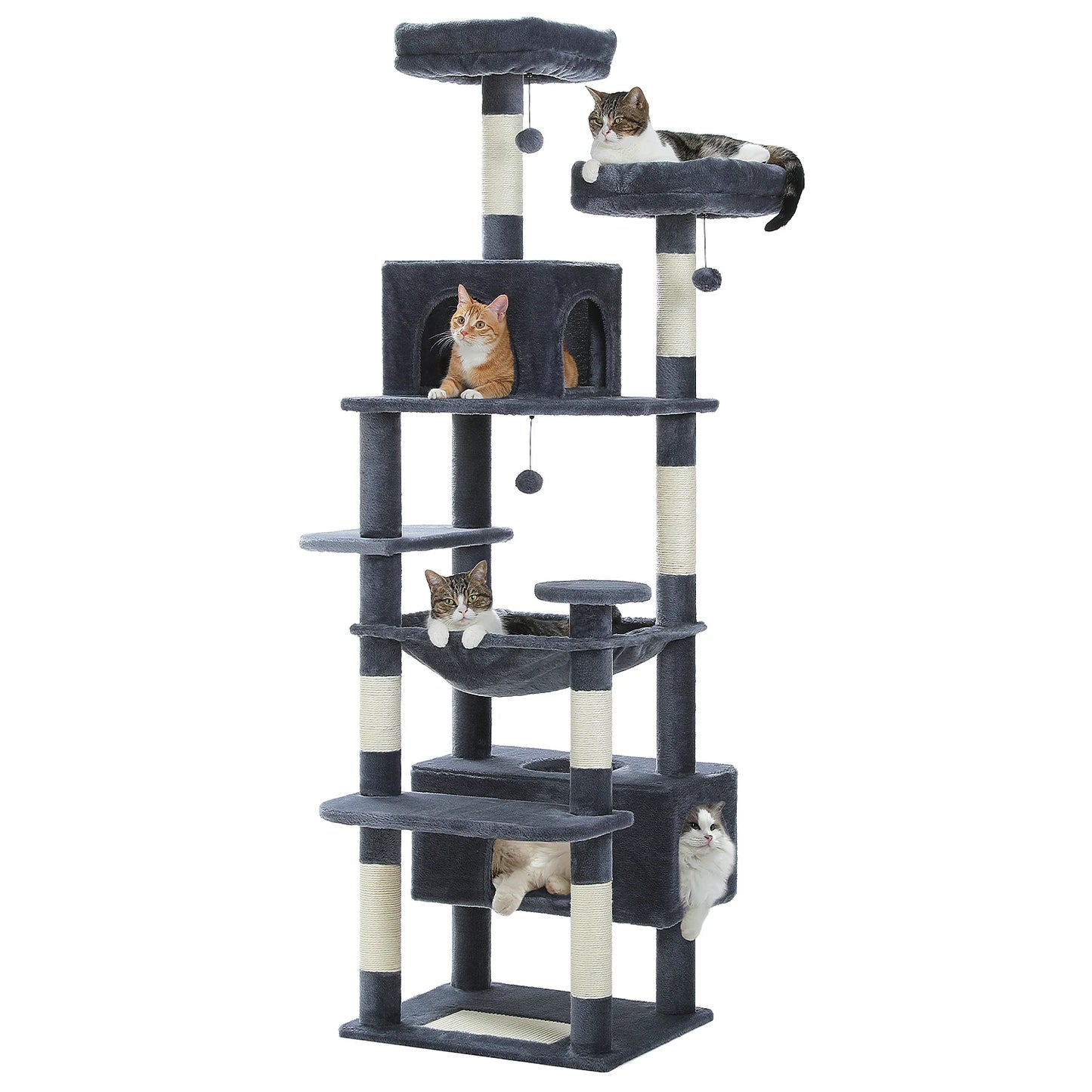 Cat Penthouse apartment