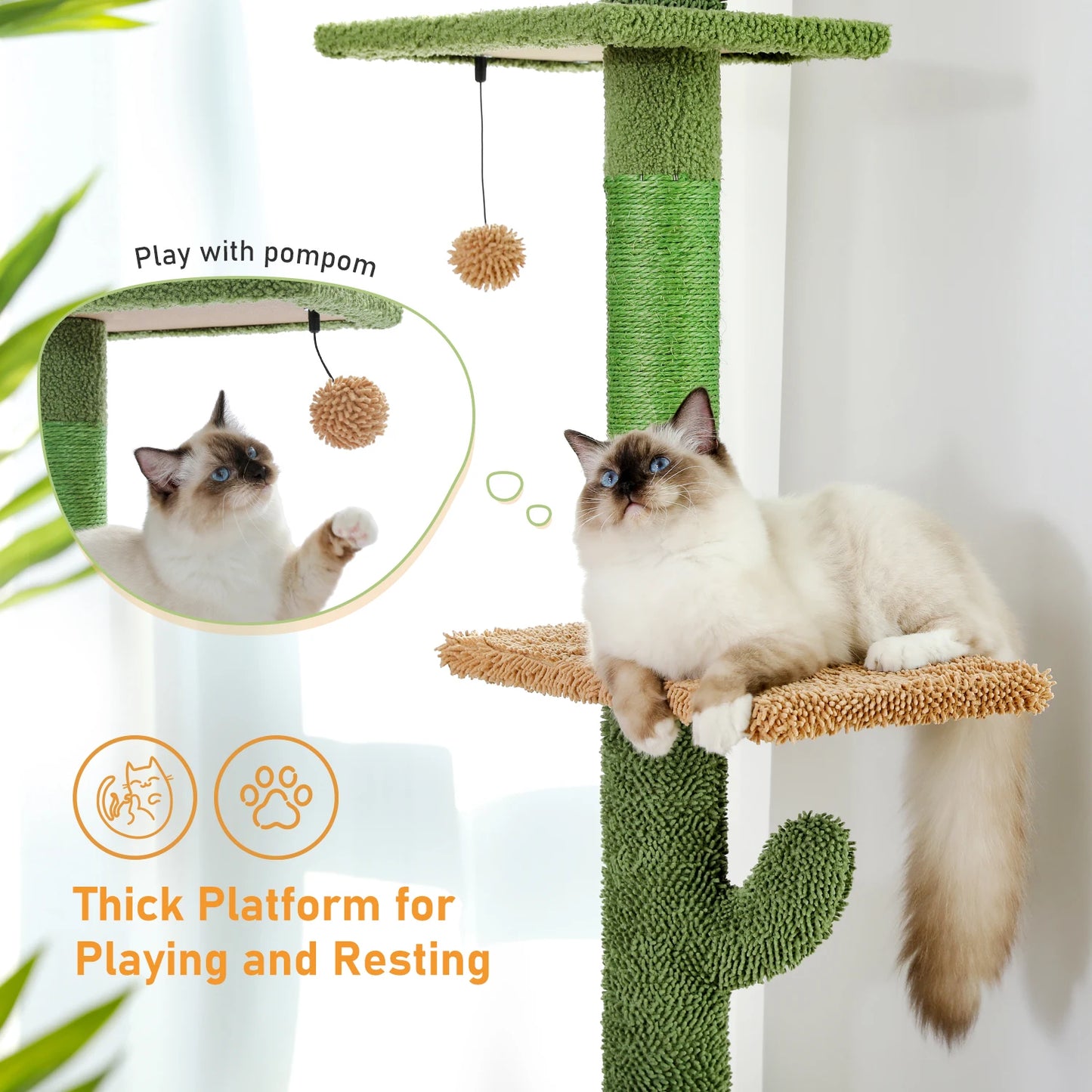 5-Tier CaTus Tower